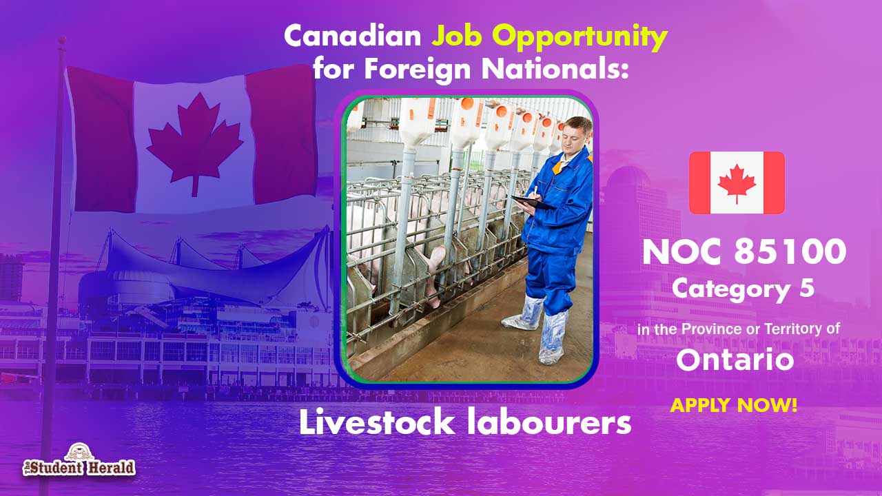 Canadian Job Opportunity for Foreign Nationals: NOC 85100, Job Title Livestock labourers Category 5 in Ontario