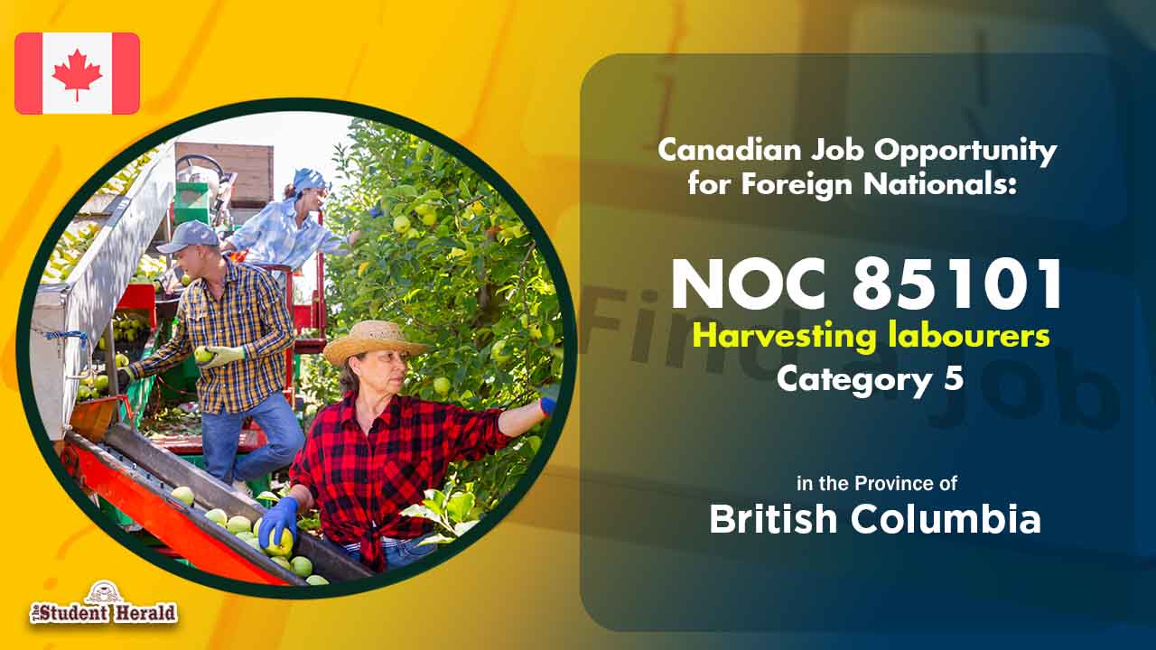 Canadian Job Opportunity for Foreign Nationals: NOC 85101, Job Title Harvesting labourers Category 5 in British Columbia