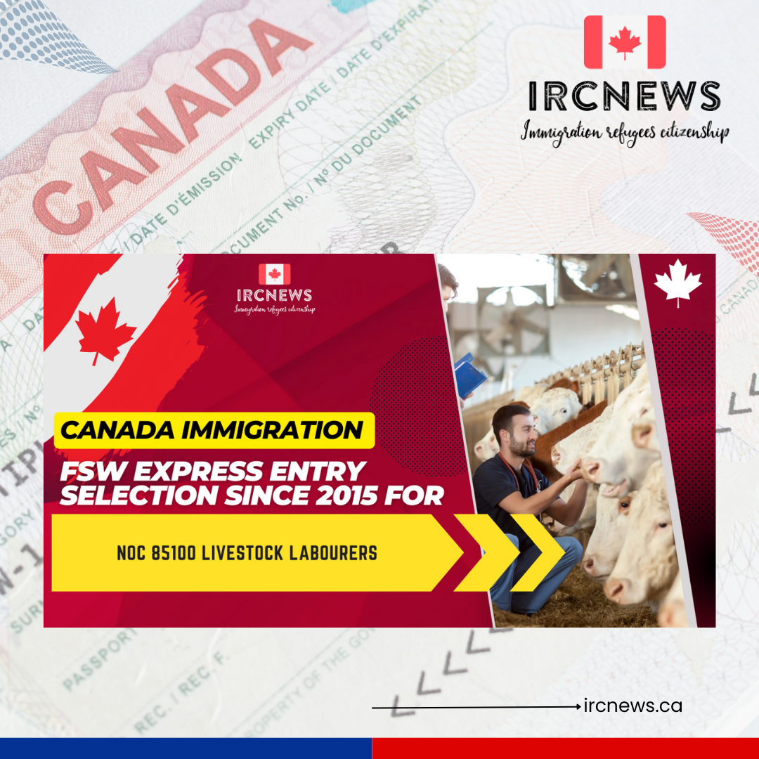 Canada Immigration FSW Express Entry selection since 2015 for NOC 85100 Livestock labourers